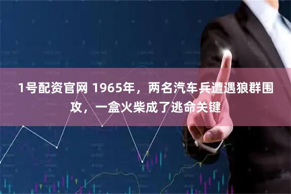 1号配资官网 1965年，两名汽车兵遭遇狼群围攻，一盒火柴成了逃命关键