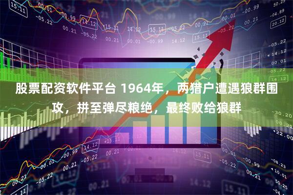 股票配资软件平台 1964年，两猎户遭遇狼群围攻，拼至弹尽粮绝，最终败给狼群